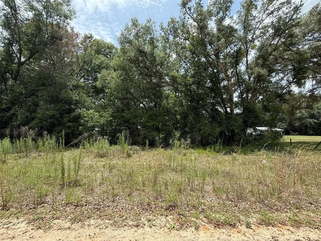 119 Smokey Avenue Interlachen FL 32148
