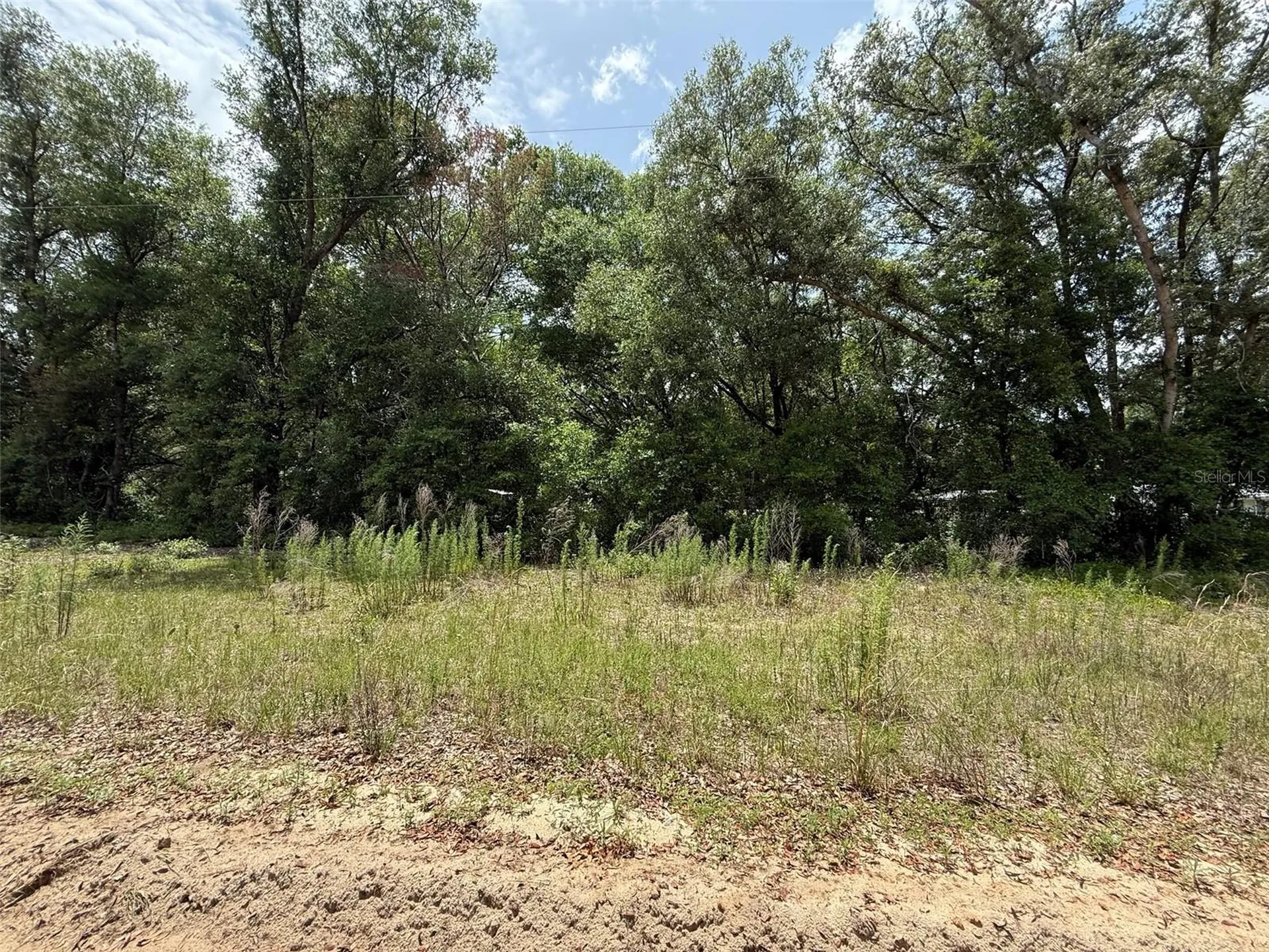 119 Smokey Avenue Interlachen FL 32148