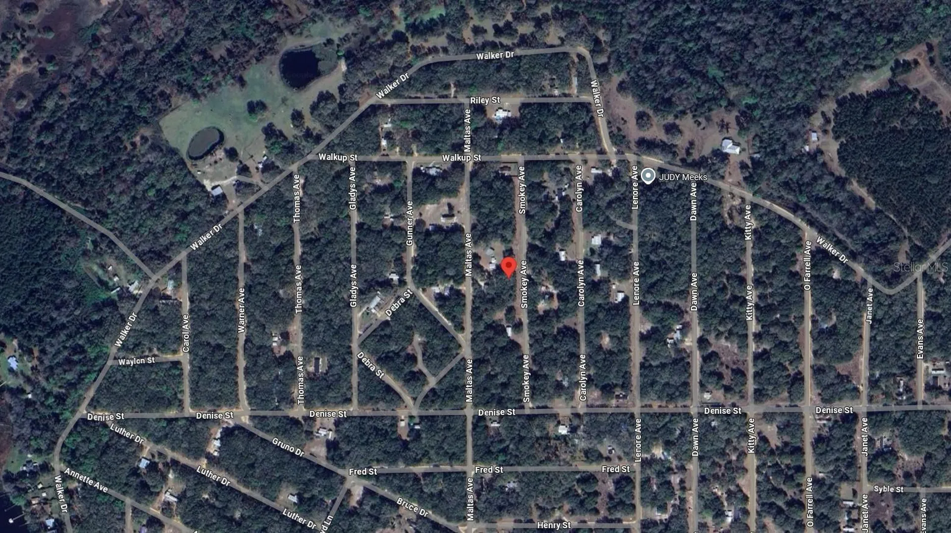 119 Smokey Avenue Interlachen FL 32148