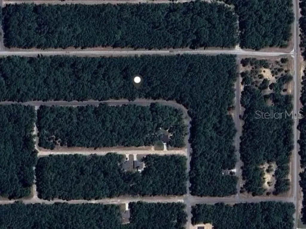 9239 N Patch Drive Dunnellon FL 34434