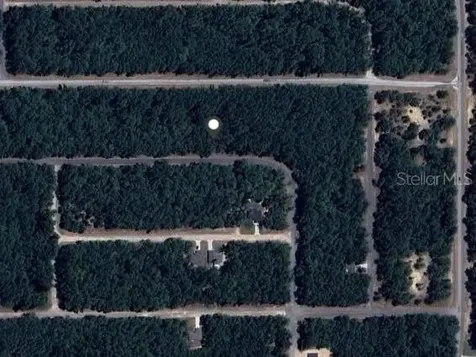 9239 N Patch Drive Dunnellon FL 34434