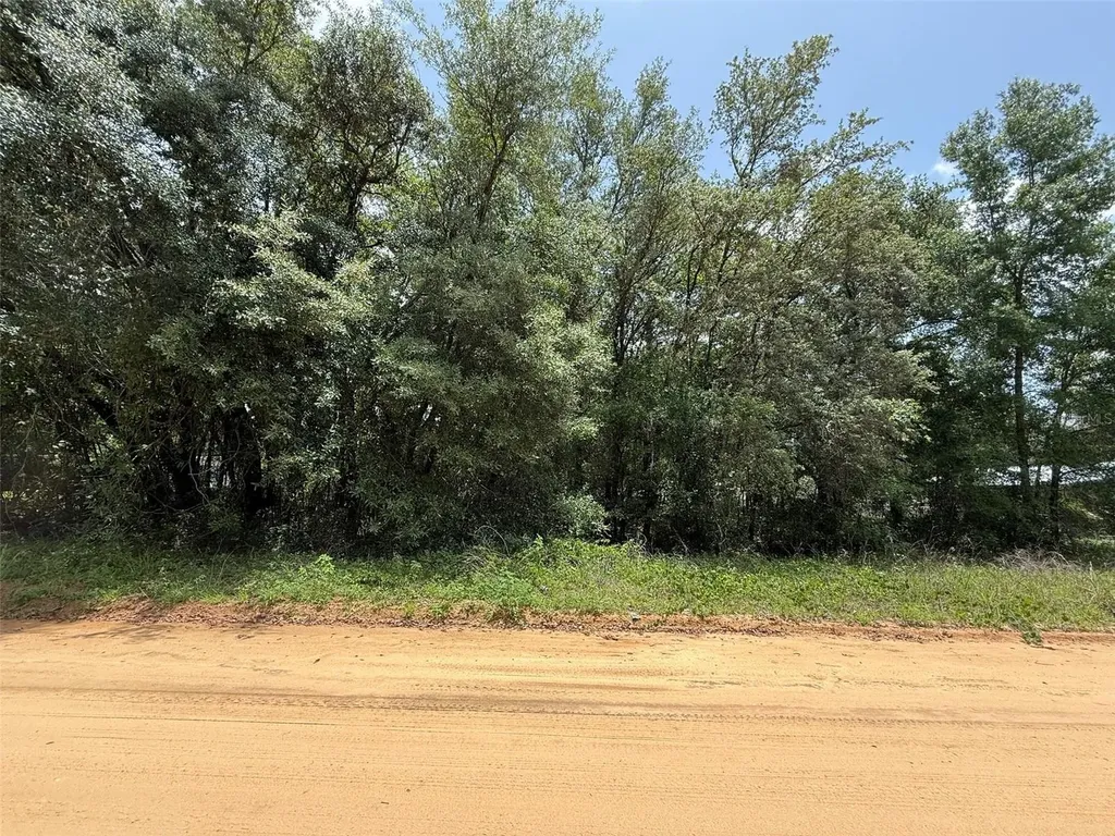 604 Kitty Interlachen FL 32148