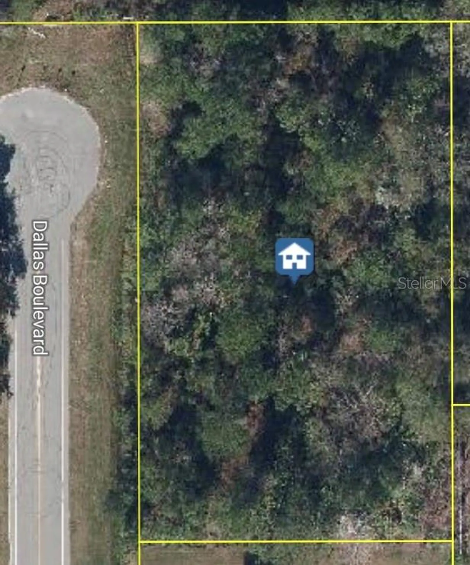 Dallas Boulevard Orlando FL 32833