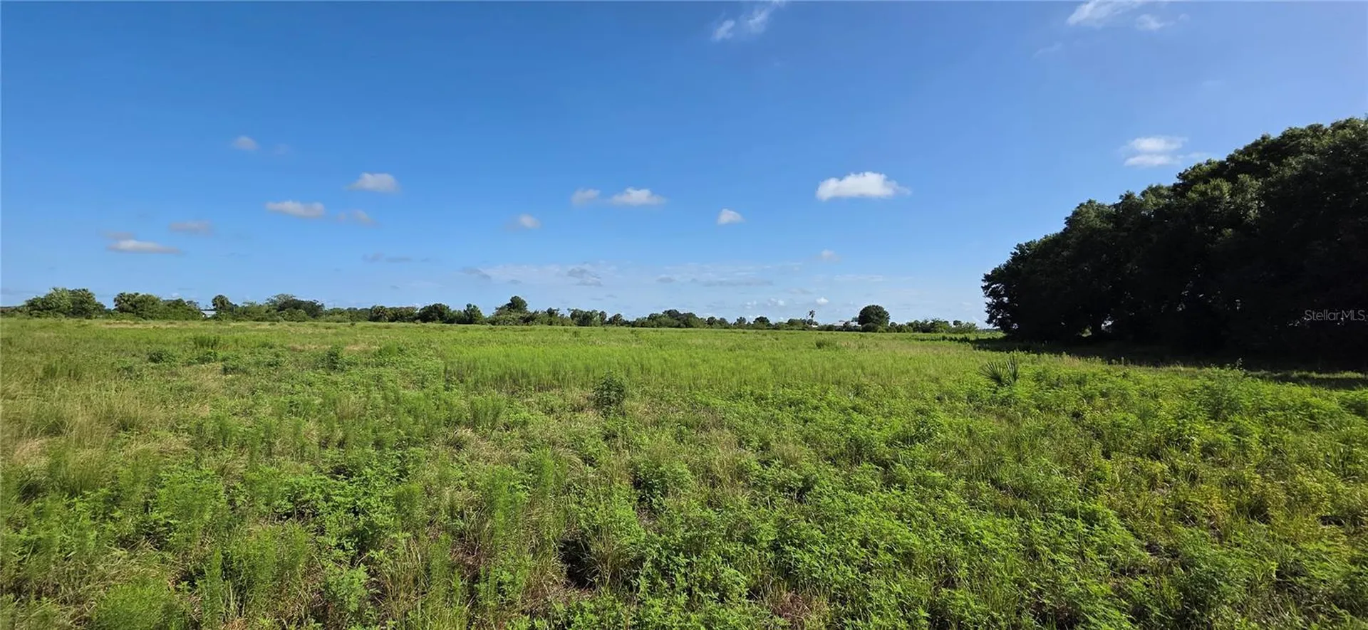 16905 NW 220th Street Okeechobee FL 34972