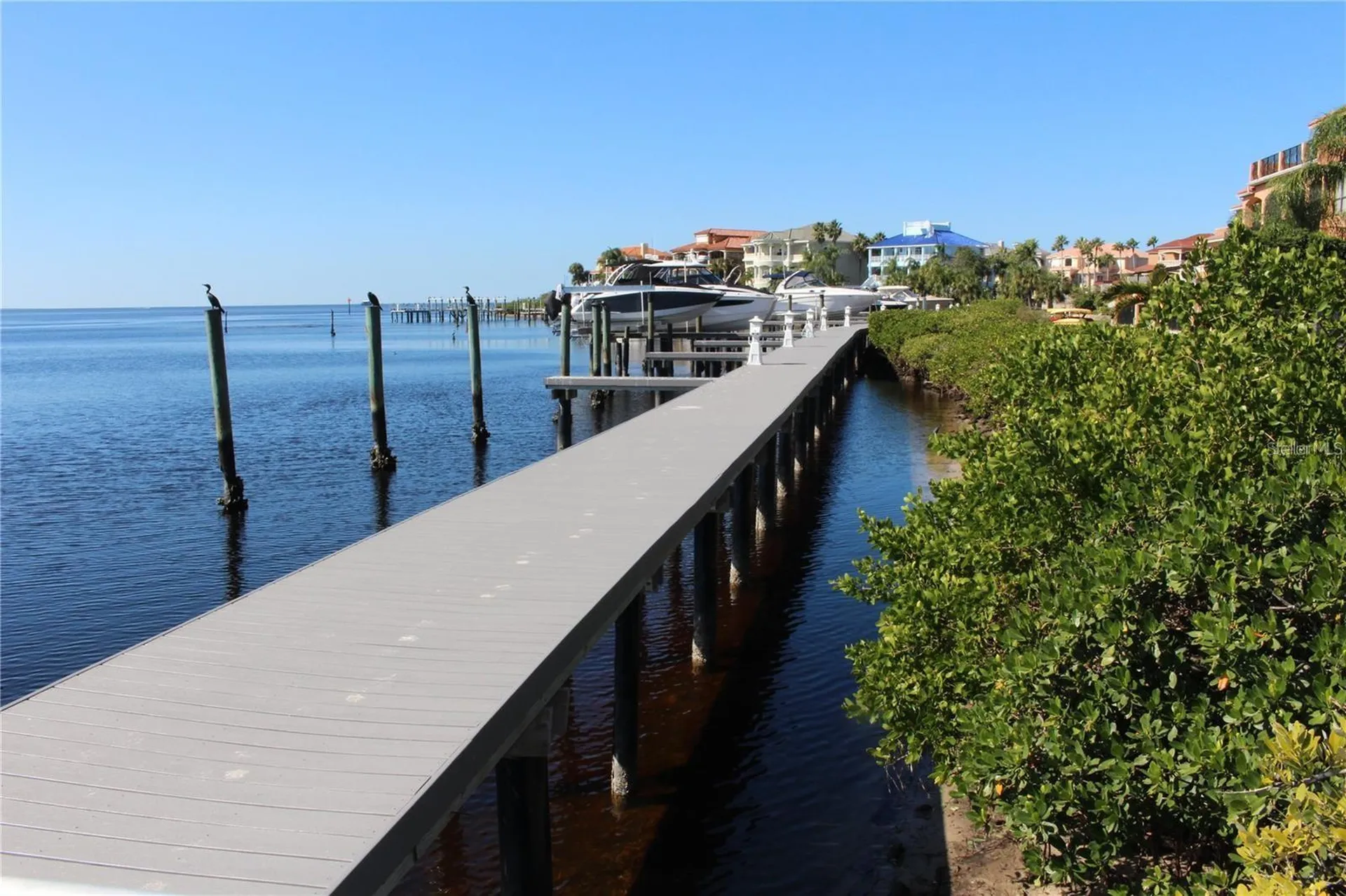 4557 Harborpointe Drive Port Richey FL 34668