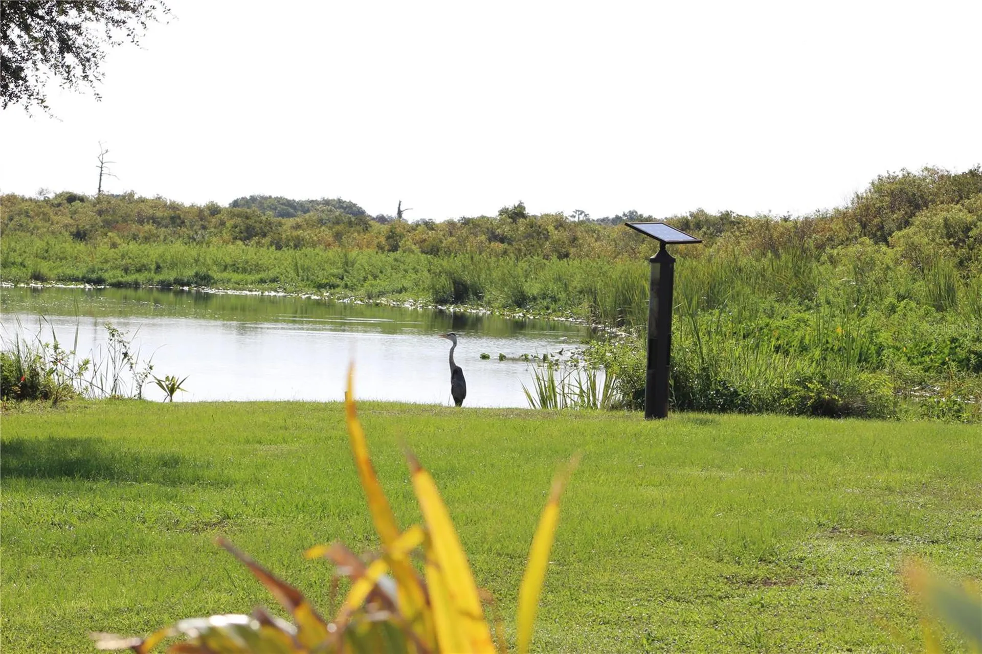 37511 Washington Loop Road Punta Gorda FL 33982