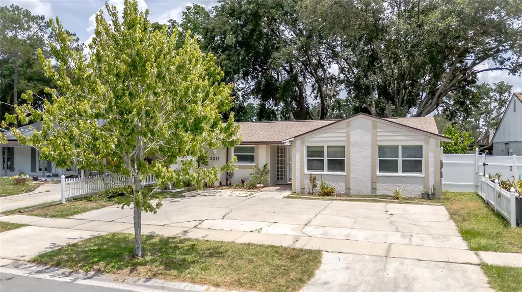 3217 Saddlebrook Avenue Tampa FL 33618
