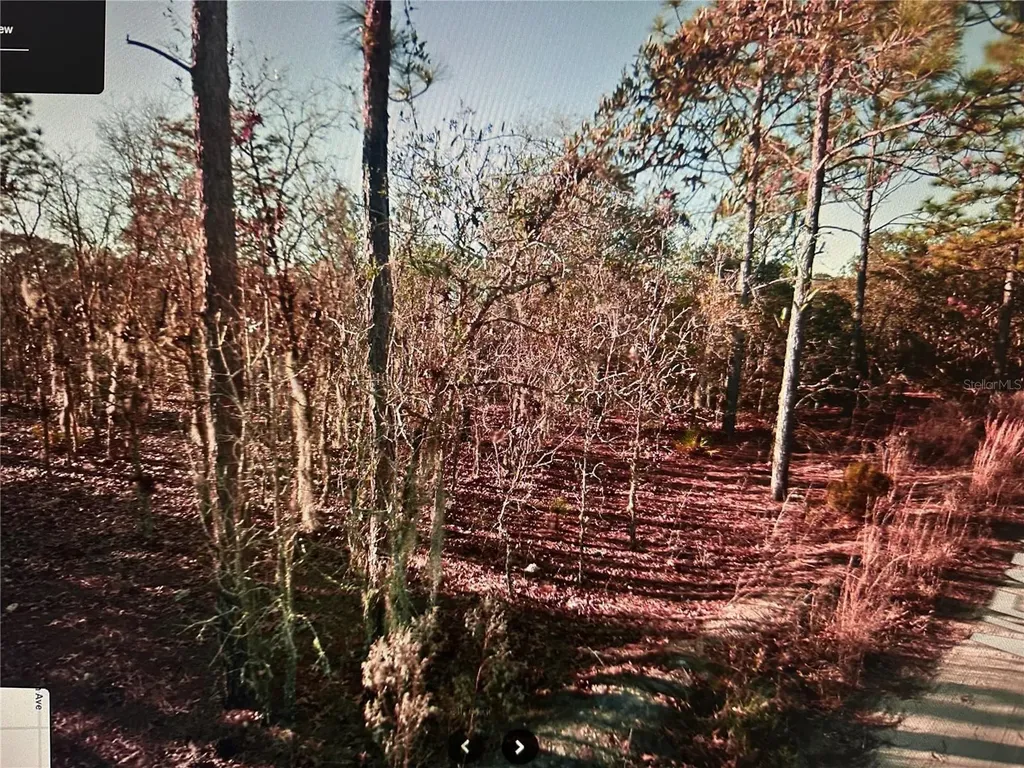 03381-235-00 NE 97th Court Bronson FL 32621