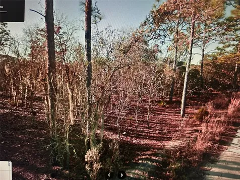 03381-235-00 NE 97th Court Bronson FL 32621