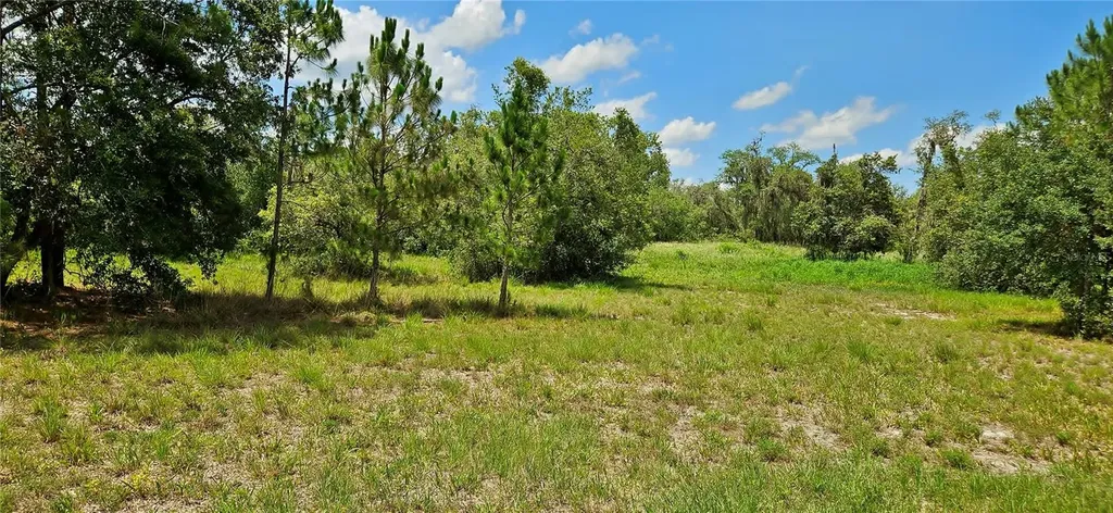 Mammoth Grove Road Lake Wales FL 33898