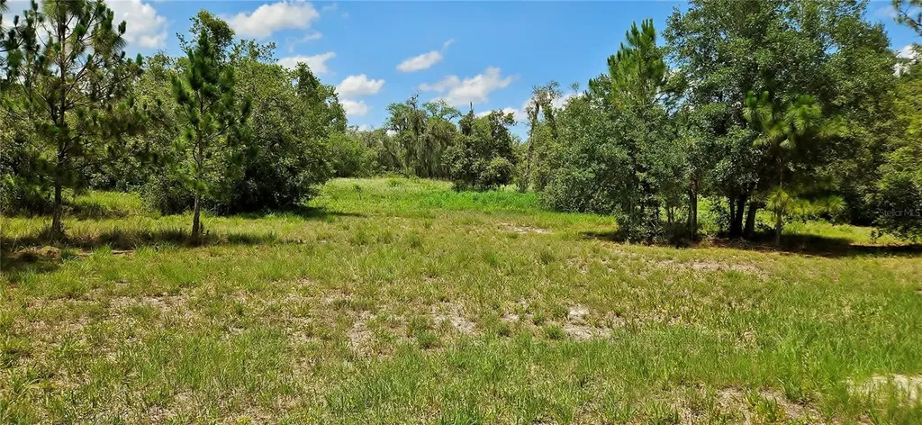 Mammoth Grove Road Lake Wales FL 33898