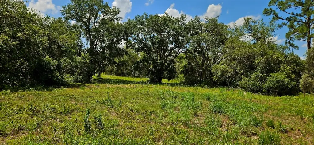 Mammoth Grove Road Lake Wales FL 33898