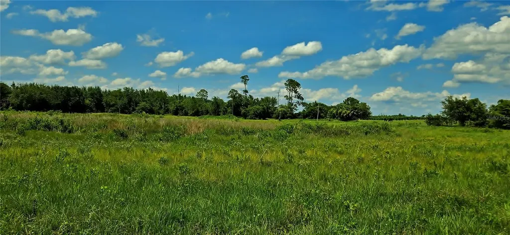 Mammoth Grove Road Lake Wales FL 33898
