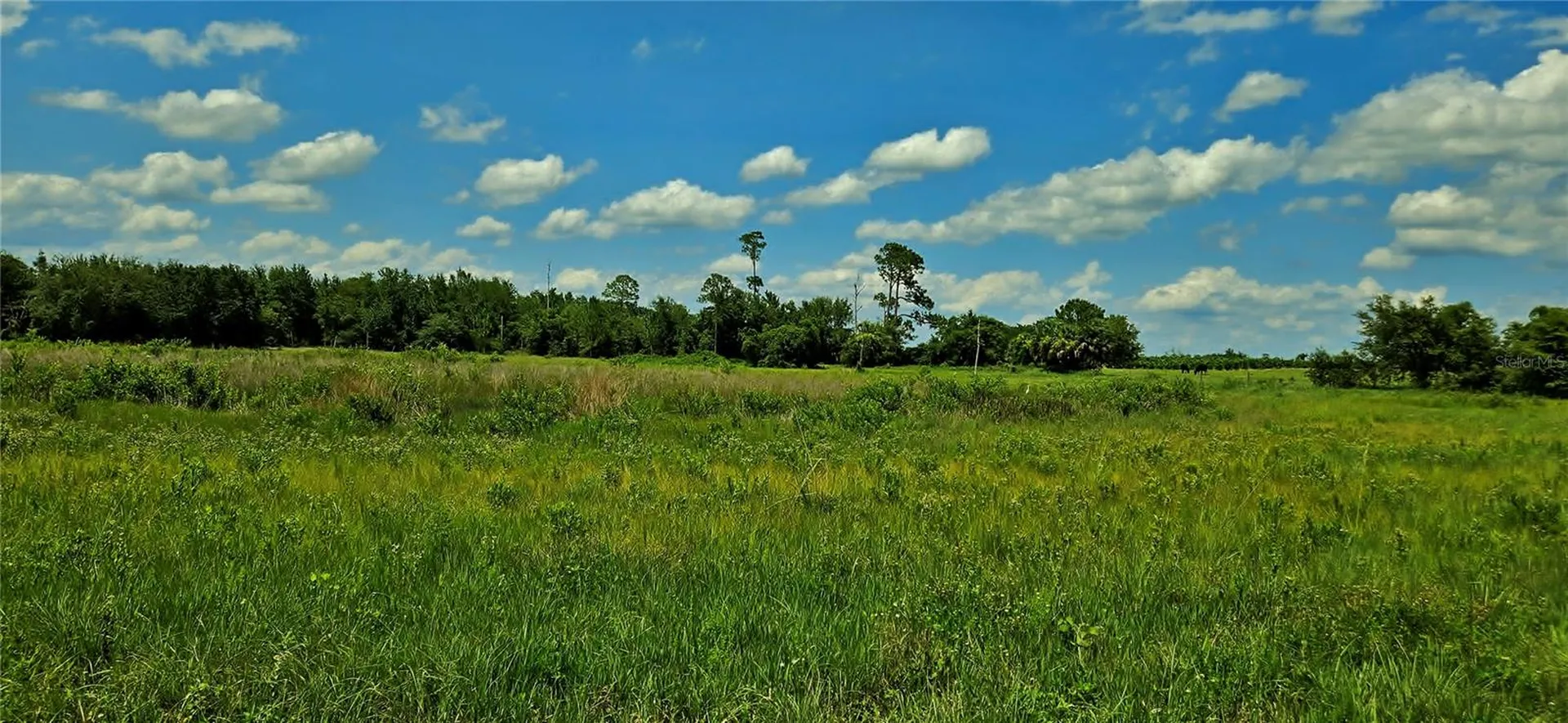 Mammoth Grove Road Lake Wales FL 33898