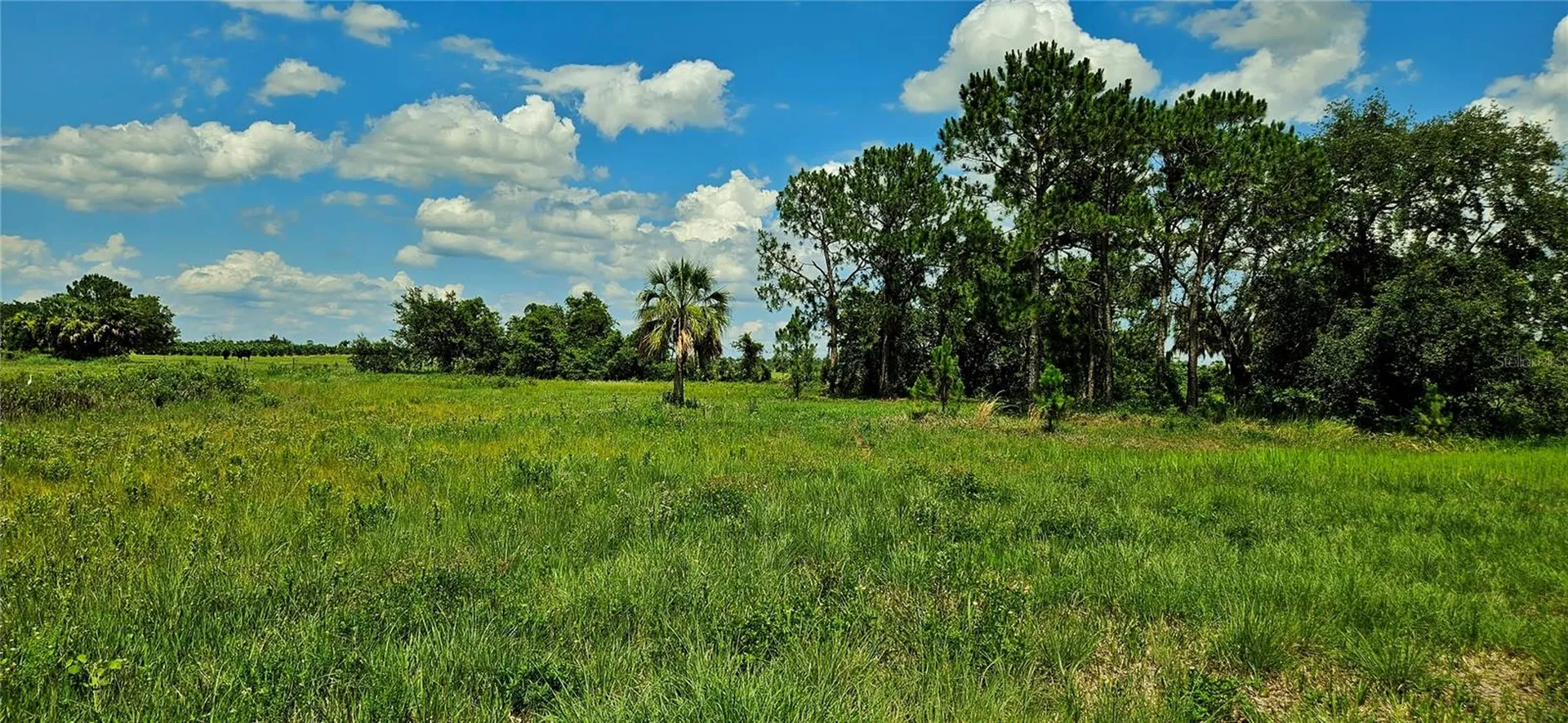 Mammoth Grove Road Lake Wales FL 33898