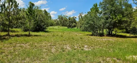 Mammoth Grove Road Lake Wales FL 33898