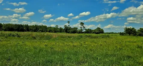 Mammoth Grove Road Lake Wales FL 33898
