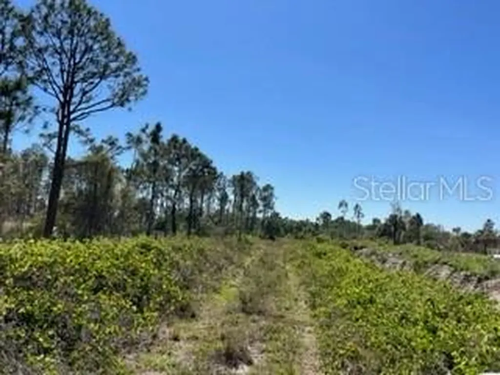 5151 Chiquita Drive Punta Gorda FL 33982
