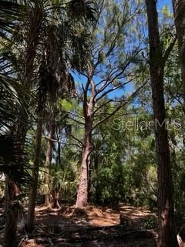 5151 Chiquita Drive Punta Gorda FL 33982
