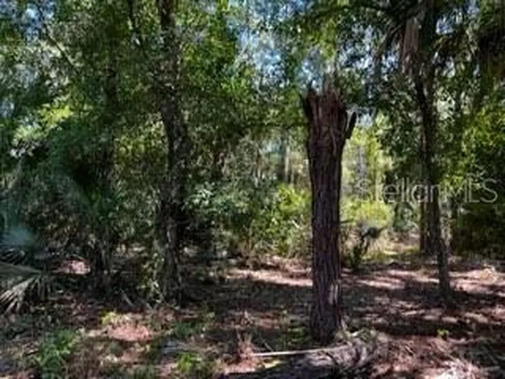 5151 Chiquita Drive Punta Gorda FL 33982