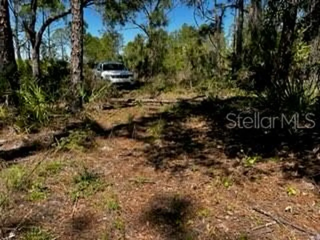 5151 Chiquita Drive Punta Gorda FL 33982