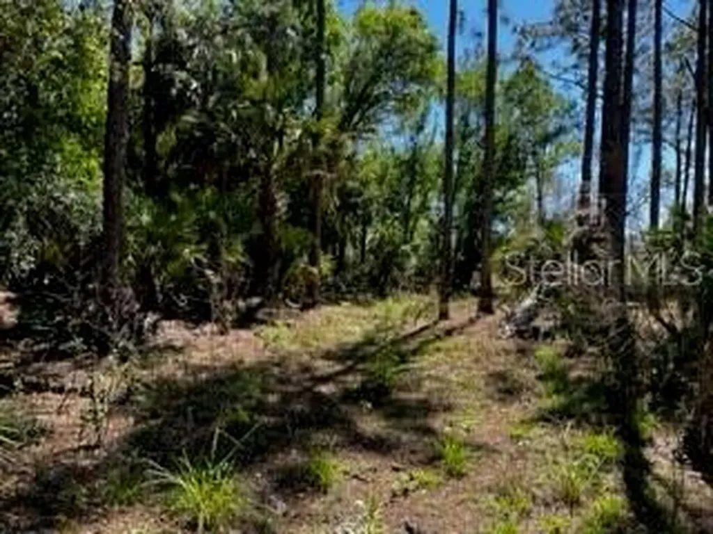 5151 Chiquita Drive Punta Gorda FL 33982