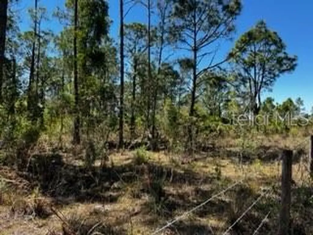 5151 Chiquita Drive Punta Gorda FL 33982