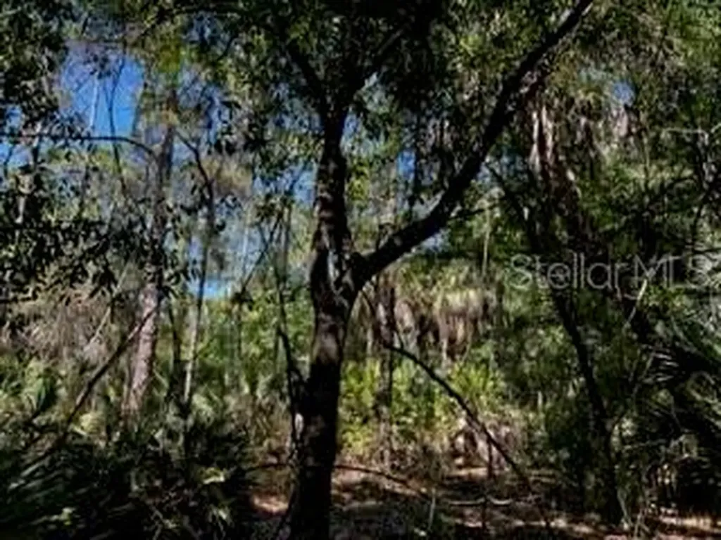 5151 Chiquita Drive Punta Gorda FL 33982