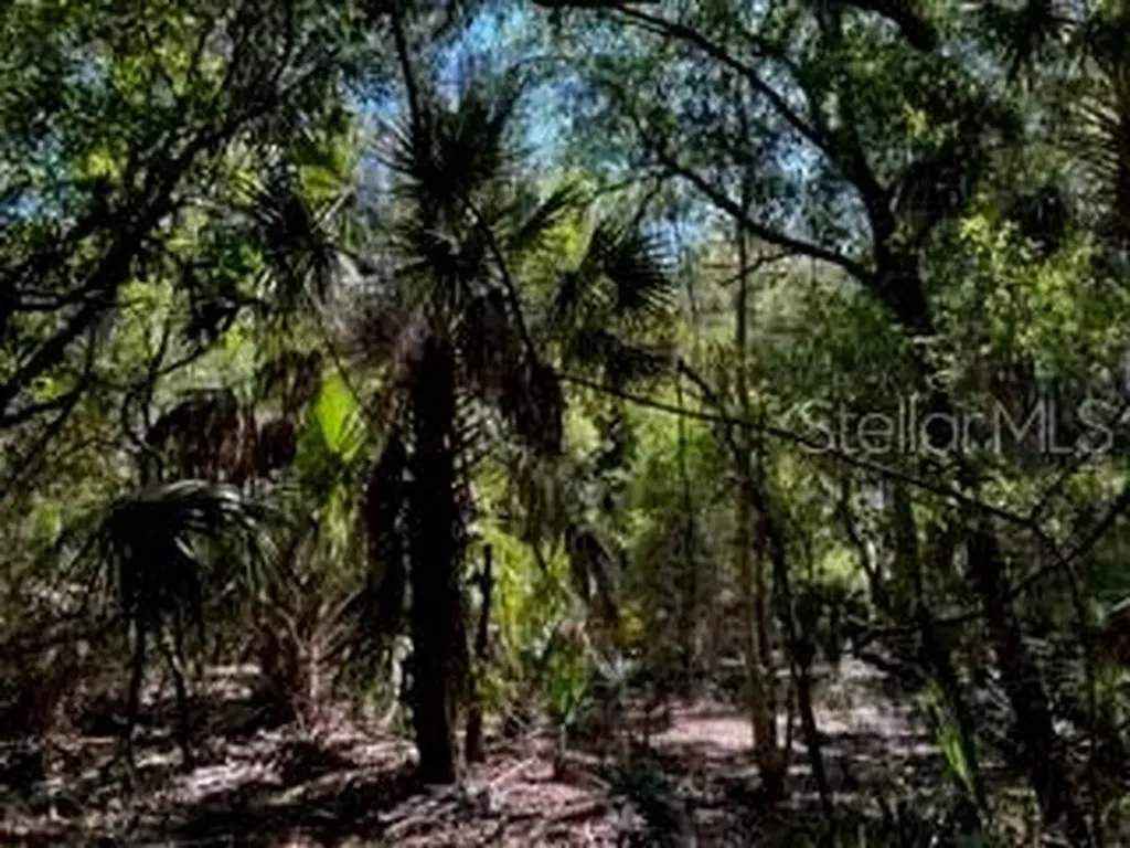 5151 Chiquita Drive Punta Gorda FL 33982