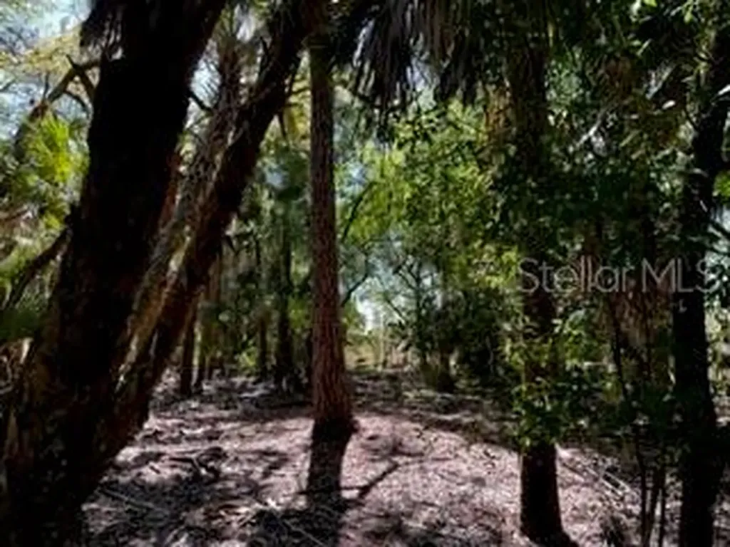 5151 Chiquita Drive Punta Gorda FL 33982