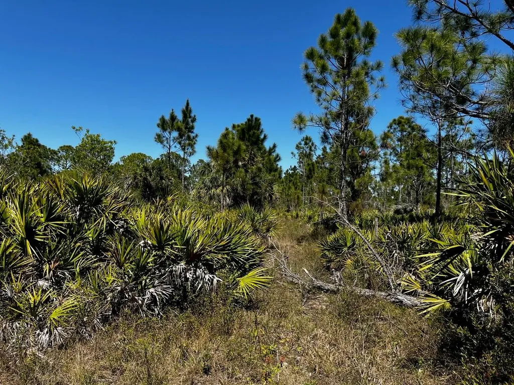 5151 Chiquita Drive Punta Gorda FL 33982