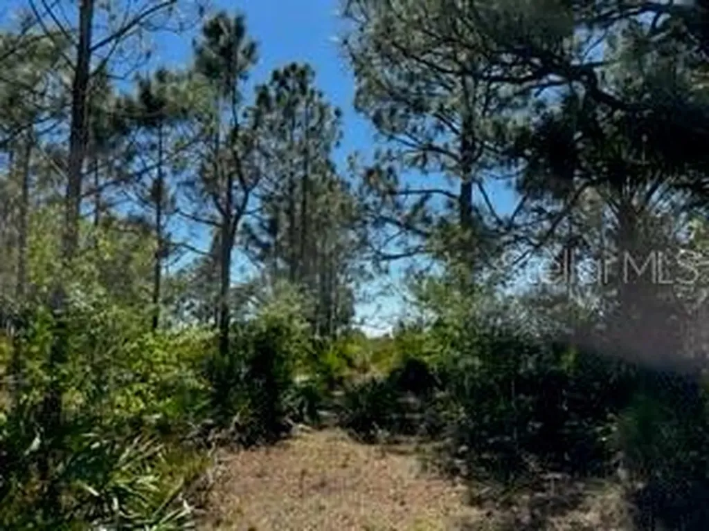 5151 Chiquita Drive Punta Gorda FL 33982