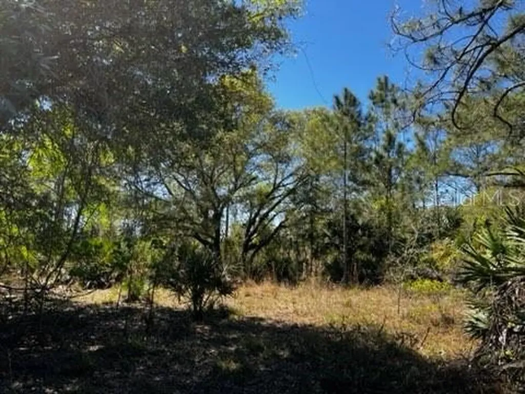 5151 Chiquita Drive Punta Gorda FL 33982