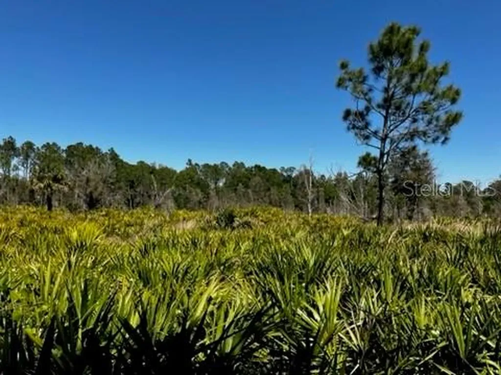 5151 Chiquita Drive Punta Gorda FL 33982