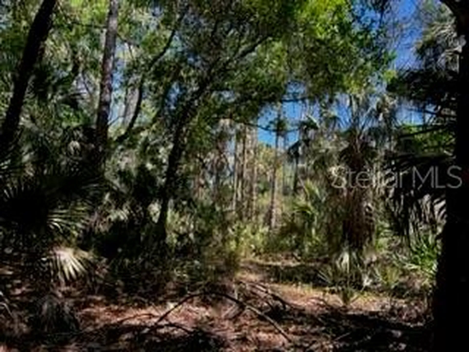 5151 Chiquita Drive Punta Gorda FL 33982