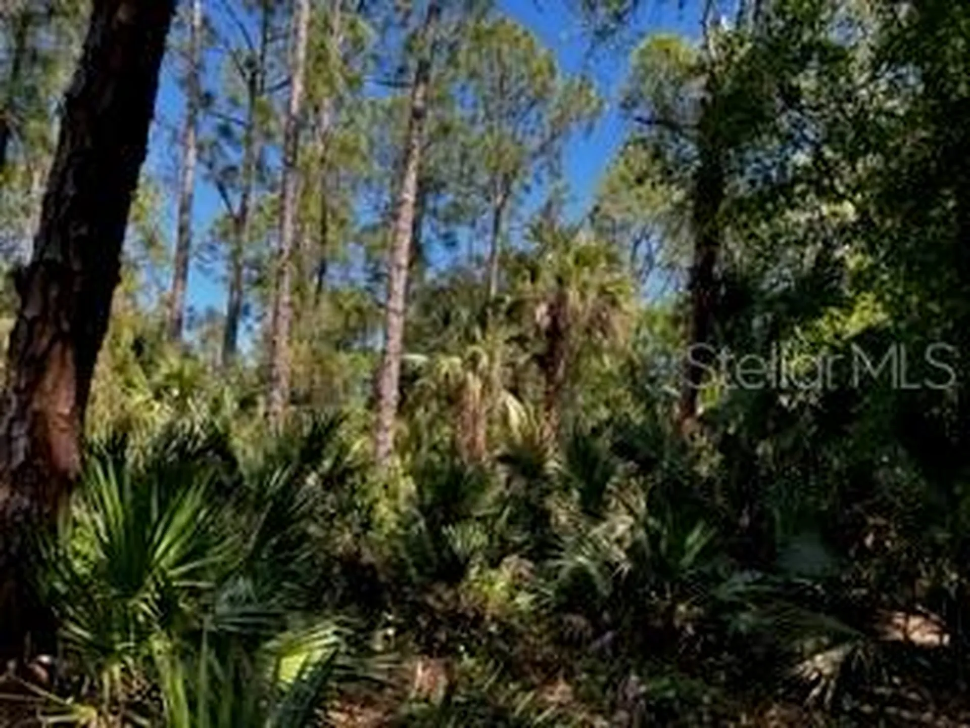 5151 Chiquita Drive Punta Gorda FL 33982