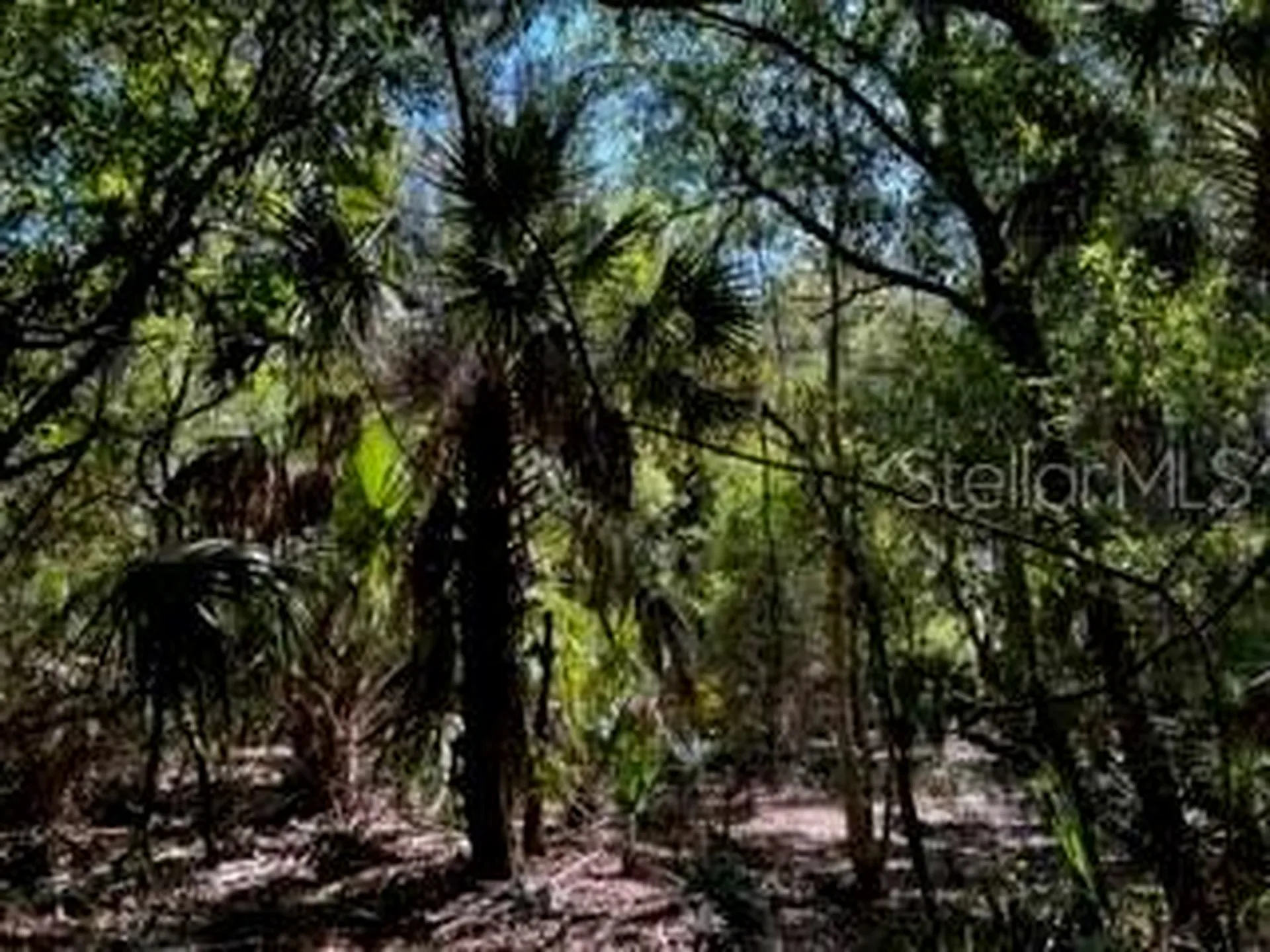 5151 Chiquita Drive Punta Gorda FL 33982