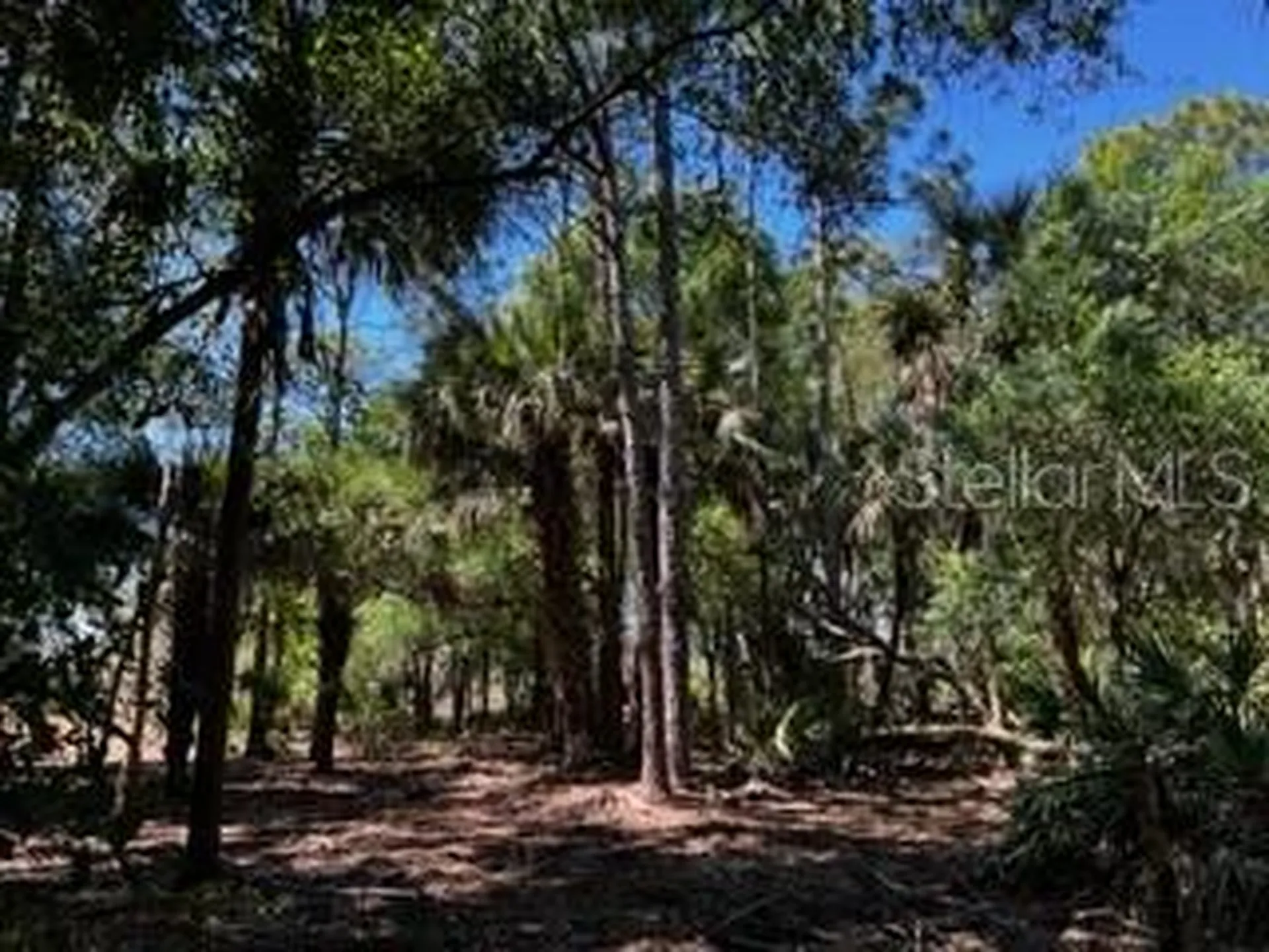 5151 Chiquita Drive Punta Gorda FL 33982