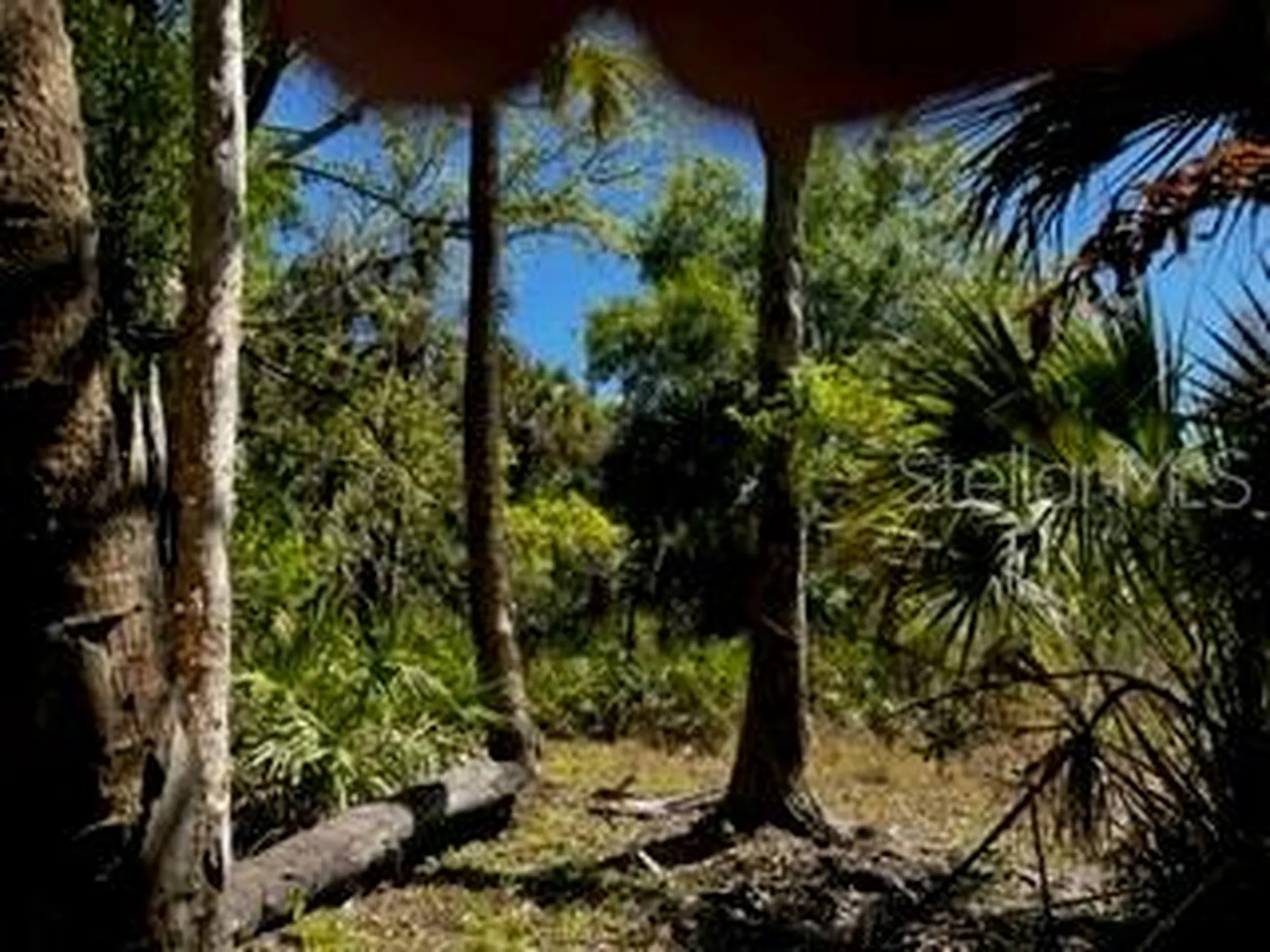 5151 Chiquita Drive Punta Gorda FL 33982