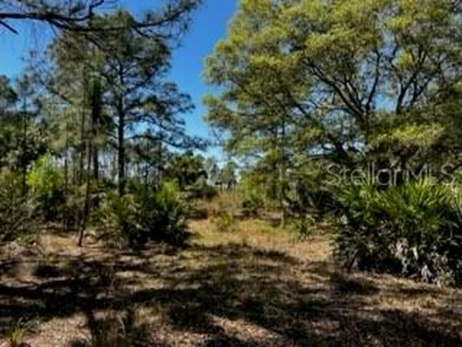 5151 Chiquita Drive Punta Gorda FL 33982