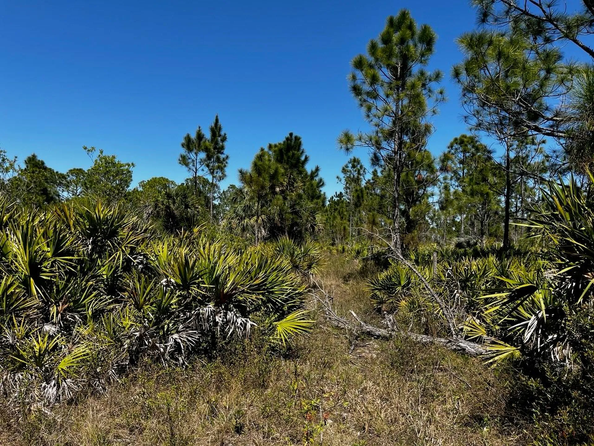 5151 Chiquita Drive Punta Gorda FL 33982