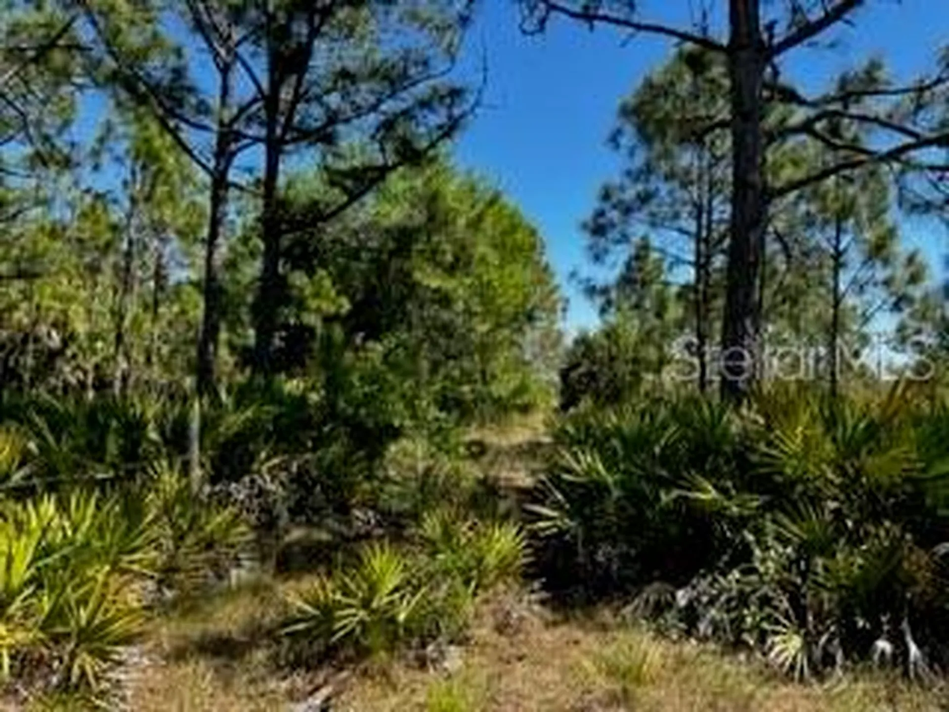 5151 Chiquita Drive Punta Gorda FL 33982