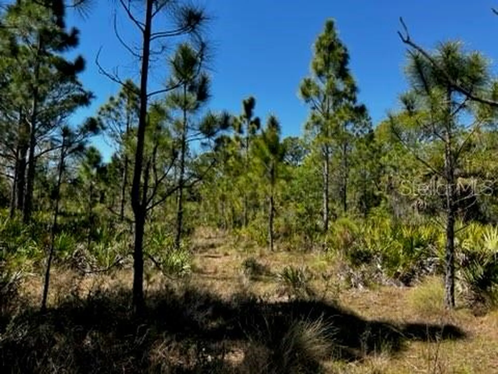 5151 Chiquita Drive Punta Gorda FL 33982