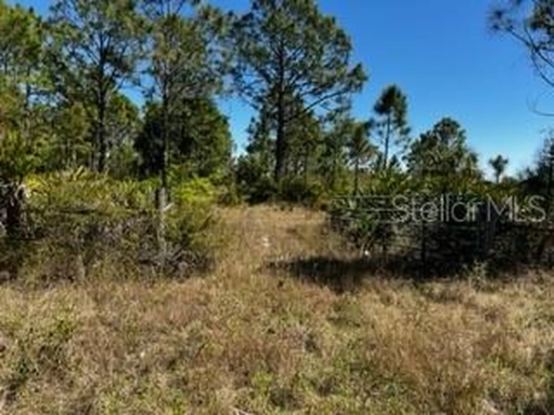 5151 Chiquita Drive Punta Gorda FL 33982