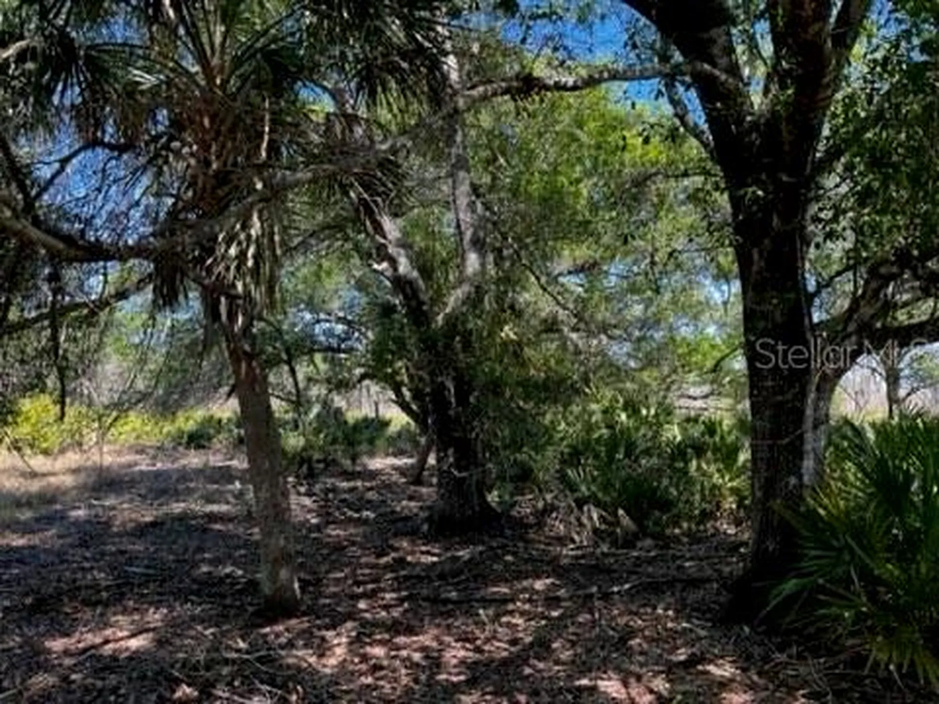 5151 Chiquita Drive Punta Gorda FL 33982