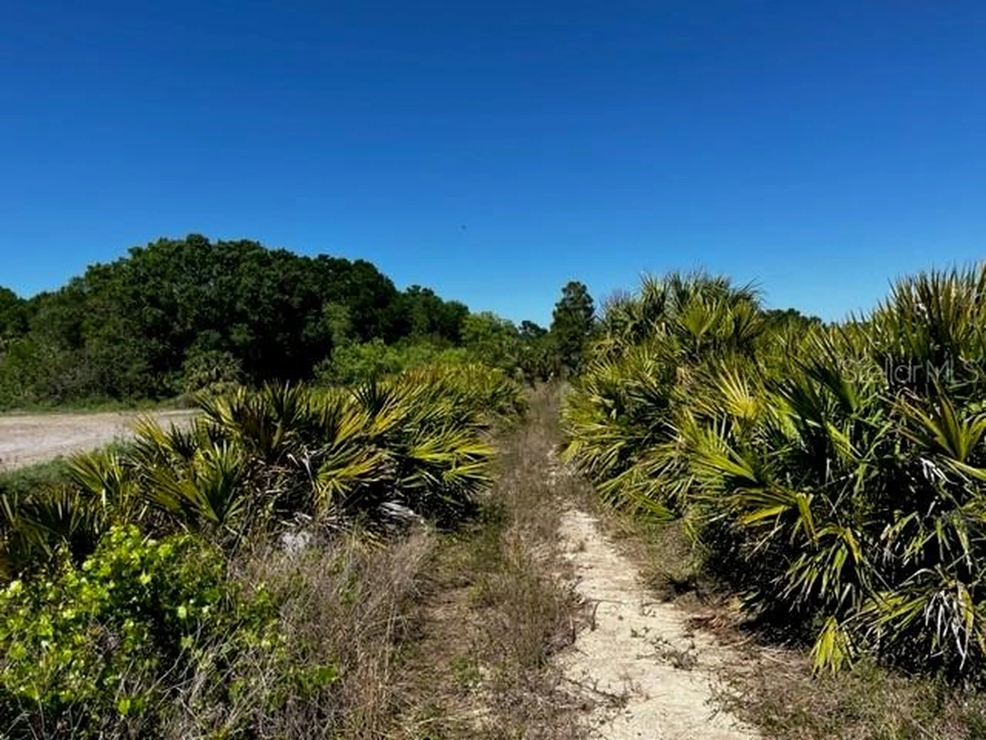 5151 Chiquita Drive Punta Gorda FL 33982