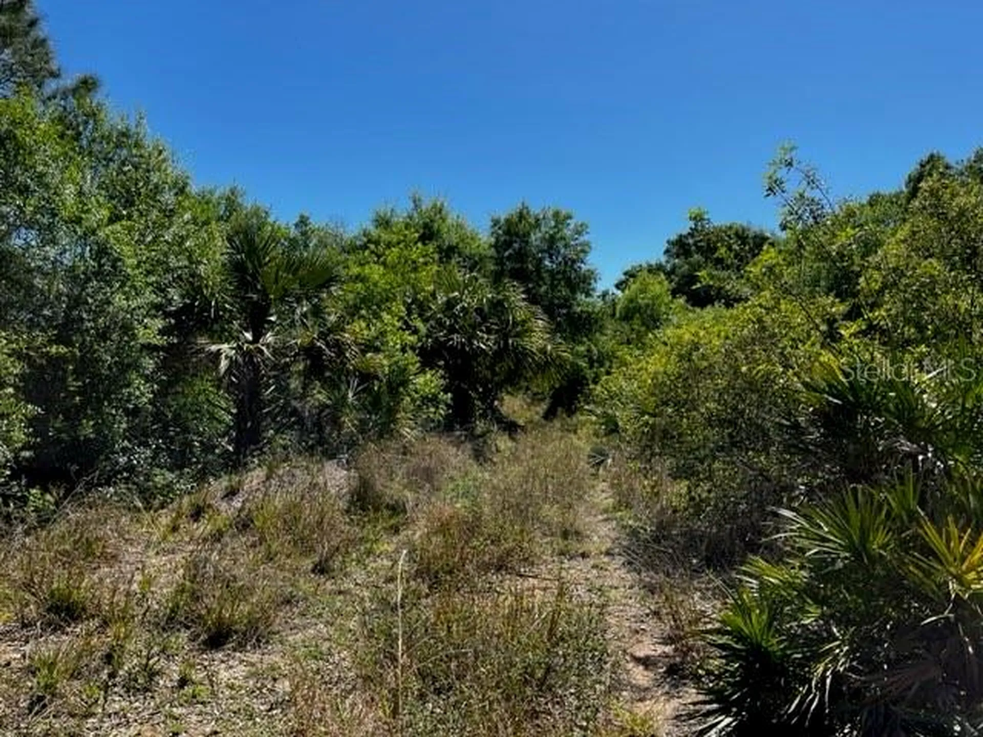 5151 Chiquita Drive Punta Gorda FL 33982