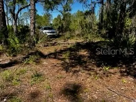5151 Chiquita Drive Punta Gorda FL 33982
