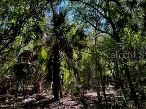 5151 Chiquita Drive Punta Gorda FL 33982
