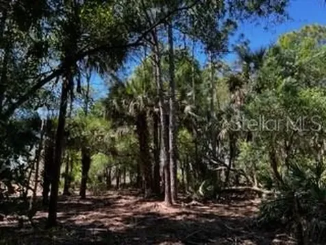 5151 Chiquita Drive Punta Gorda FL 33982